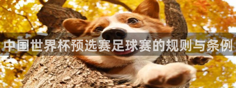 中国世界杯预选赛足球赛的规则与条例