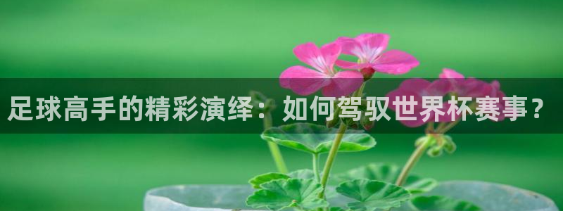 足球高手的精彩演绎：如何驾驭世界杯赛事？
