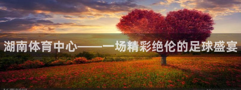 湖南体育中心——一场精彩绝伦的足球盛宴