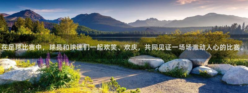在足球比赛中，球员和球迷们一起欢笑、欢庆，共同见证一场场激动