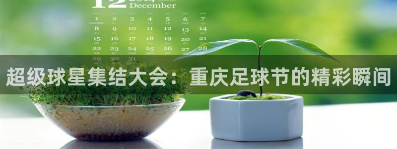 超级球星集结大会：重庆足球节的精彩瞬间