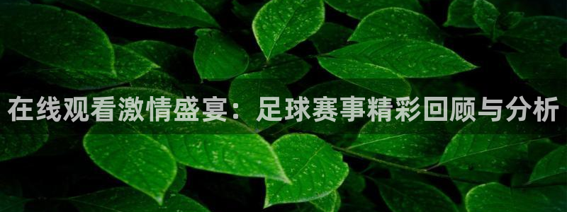 在线观看激情盛宴：足球赛事精彩回顾与分析