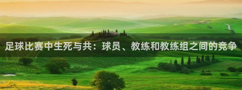  足球比赛中生死与共：球员、教练和教练组之间的竞争