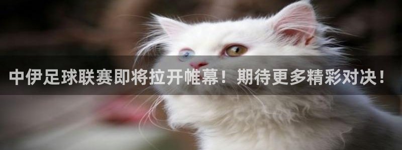  中伊足球联赛即将拉开帷幕！期待更多精彩对决！