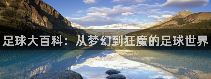  足球大百科：从梦幻到狂魔的足球世界