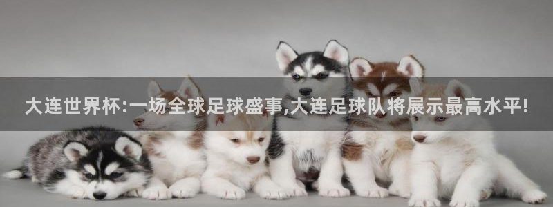  大连世界杯:一场全球足球盛事,大连足球队将展示最高水平!