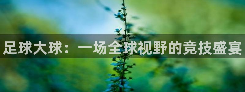 足球大球：一场全球视野的竞技盛宴