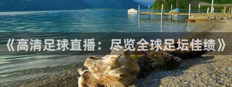《高清足球直播：尽览全球足坛佳绩》