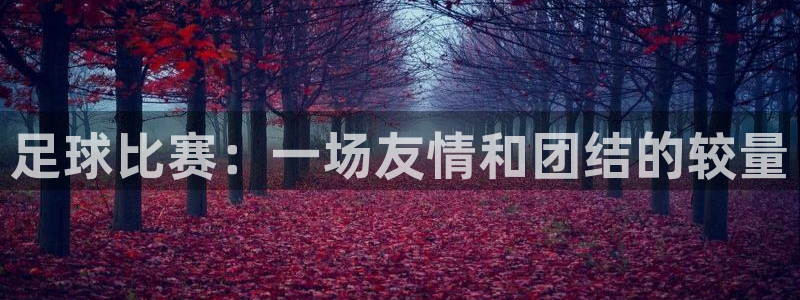足球比赛：一场友情和团结的较量