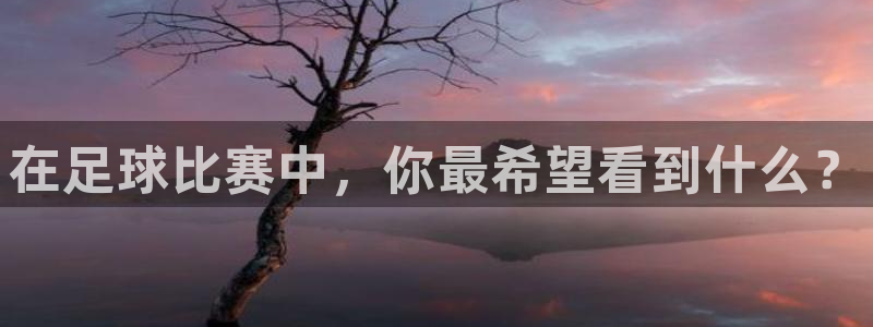 在足球比赛中，你最希望看到什么？
