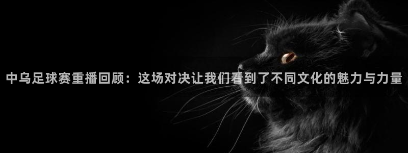  中乌足球赛重播回顾：这场对决让我们看到了不同文化的魅力与力量