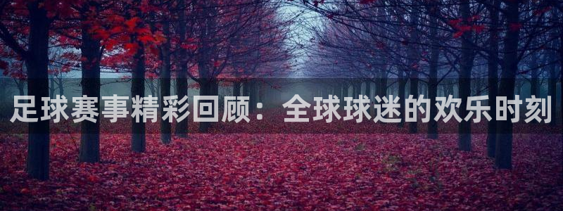  足球赛事精彩回顾：全球球迷的欢乐时刻