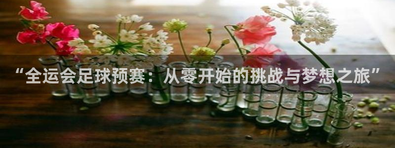  “全运会足球预赛：从零开始的挑战与梦想之旅”