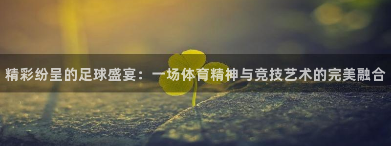  精彩纷呈的足球盛宴：一场体育精神与竞技艺术的完美融合