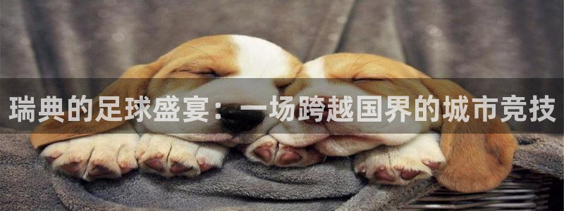瑞典的足球盛宴：一场跨越国界的城市竞技