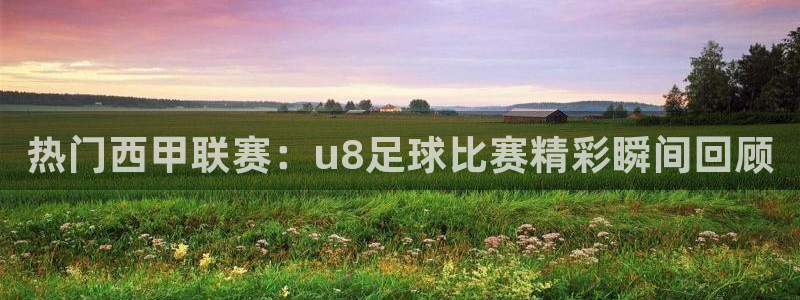 热门西甲联赛：u8足球比赛精彩瞬间回顾