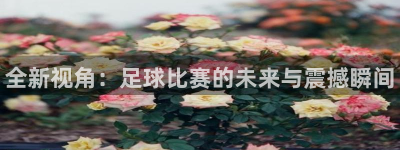  全新视角：足球比赛的未来与震撼瞬间