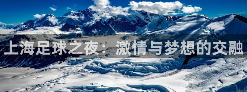  上海足球之夜：激情与梦想的交融