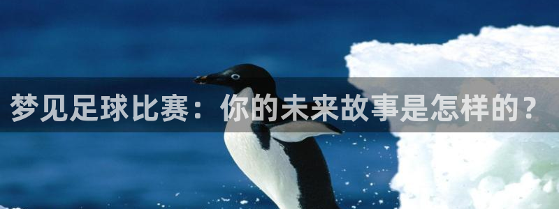 梦见足球比赛：你的未来故事是怎样的？