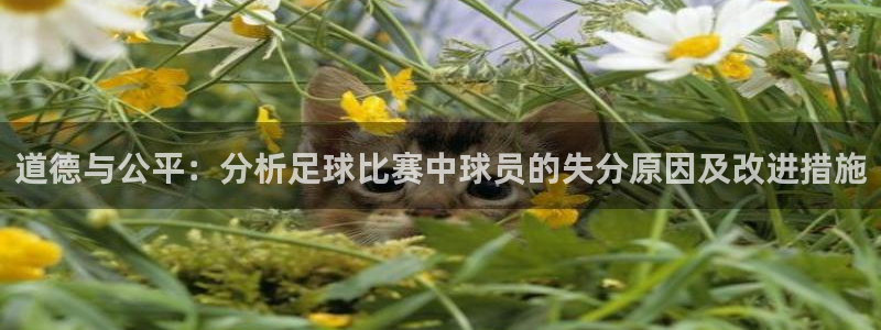 道德与公平：分析足球比赛中球员的失分