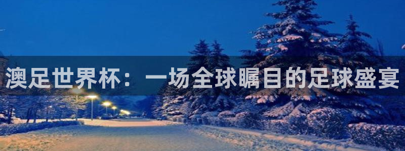 澳足世界杯：一场全球瞩目的足球盛宴