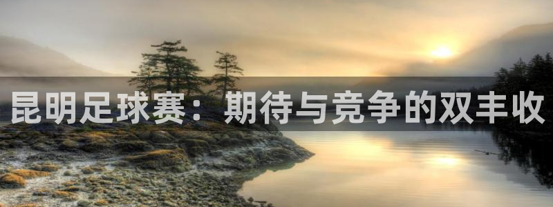 昆明足球赛：期待与竞争的双丰收