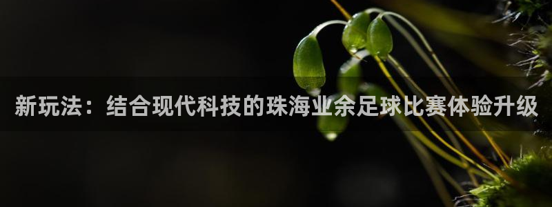 新玩法：结合现代科技的珠海业余足球比