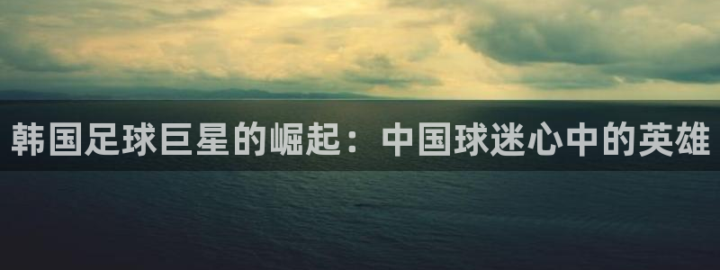 韩国足球巨星的崛起：中国球迷心中的英
