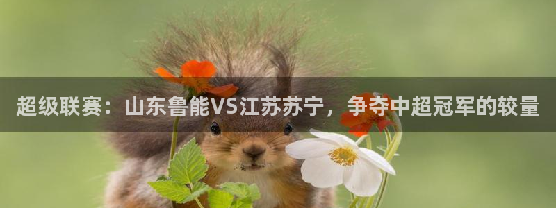 超级联赛：山东鲁能VS江苏苏宁，争夺