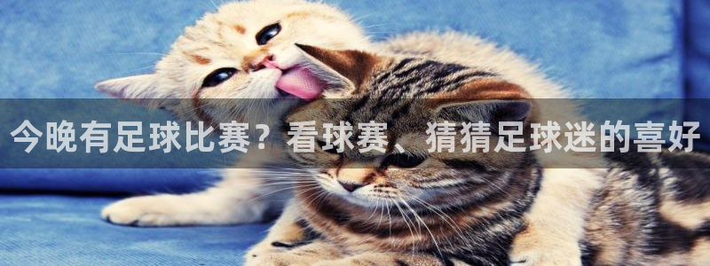  今晚有足球比赛？看球赛、猜猜足球迷的喜好