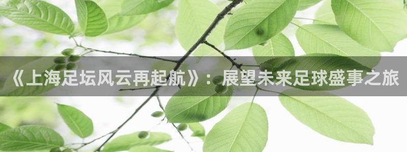 《上海足坛风云再起航》：展望未来足球