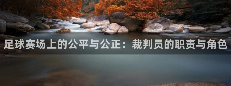  足球赛场上的公平与公正：裁判员的职责与角色