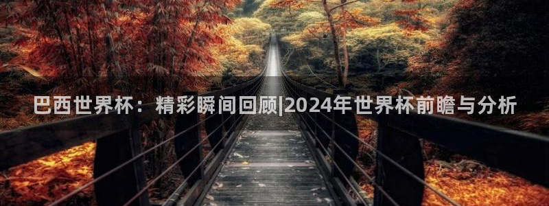 巴西世界杯：精彩瞬间回顾|2024年