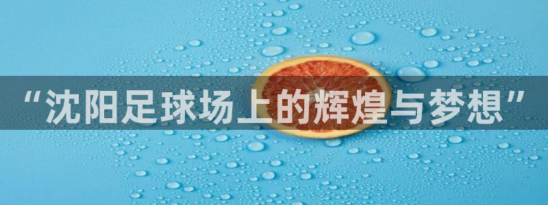 “沈阳足球场上的辉煌与梦想”