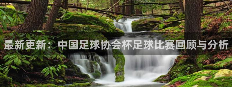 最新更新：中国足球协会杯足球比赛回顾