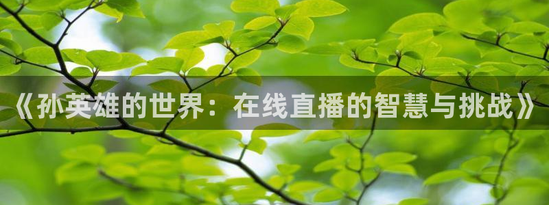 斗球直播dk说球：《孙英雄的世界：在线直播的智慧与挑战》