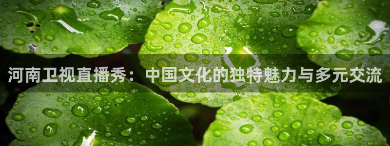 斗球体育直播下载app：河南卫视直播秀：中国文化的独特魅力与多元交流