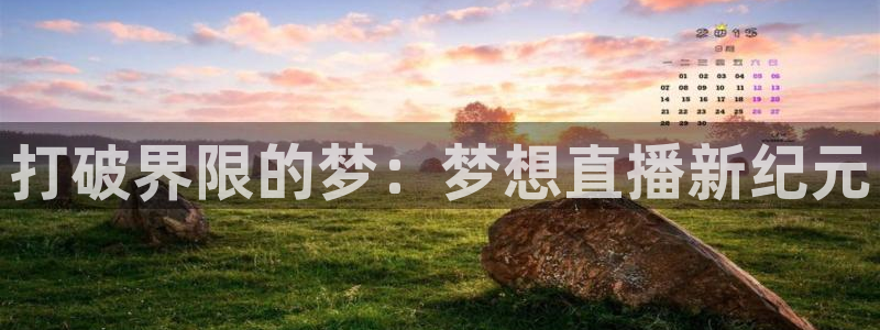 斗球直播app官网：打破界限的梦：梦想直播新纪元