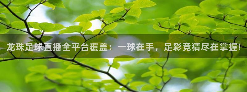 斗球tv：龙珠足球直播全平台覆盖：一球在手，足彩竞猜尽在掌握!