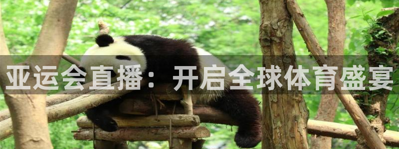 斗球体育在线观看：亚运会直播：开启全球体育盛宴