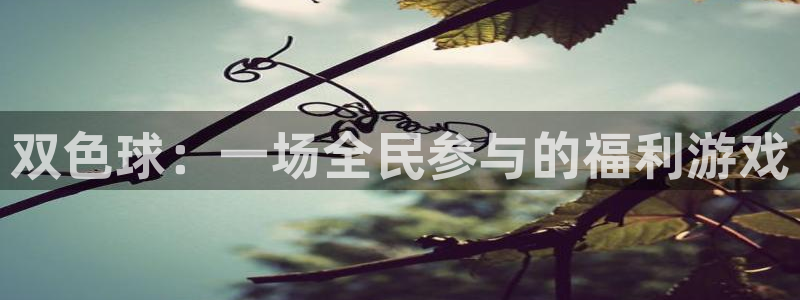 斗球app下载官网：双色球：一场全民参与的福利游戏