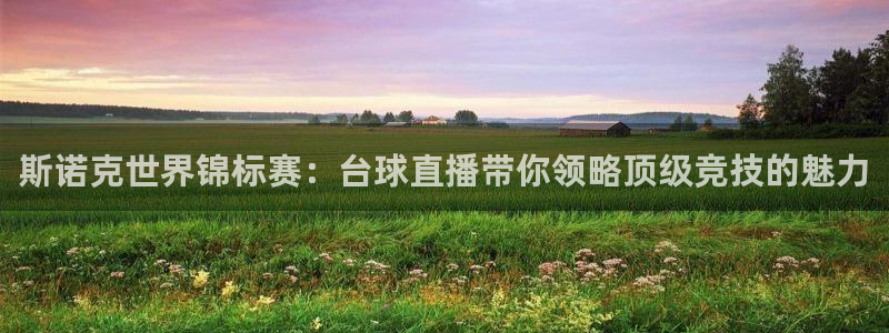 斗球直播(ios版)：斯诺克世界锦标赛：台球直播带你领略顶级竞技的魅力