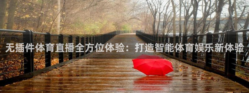 斗球直播：无插件体育直播全方位体验：打造智能体育娱乐新体验