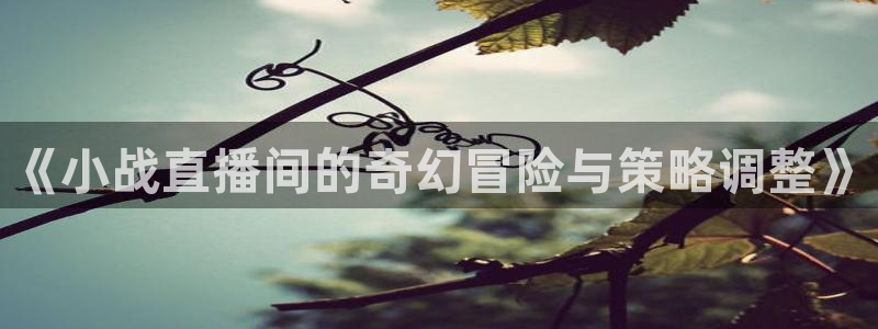 斗球直播网址：《小战直播间的奇幻冒险与策略调整》